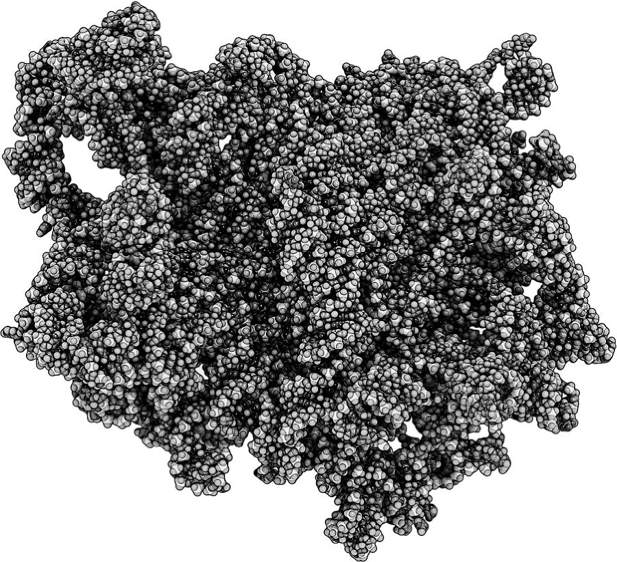 Анатомия для ищущих свой пупок - _3.jpg