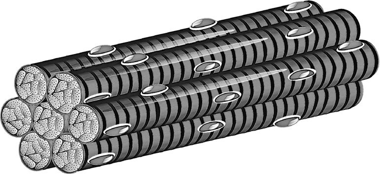 Анатомия для ищущих свой пупок - _27.jpg