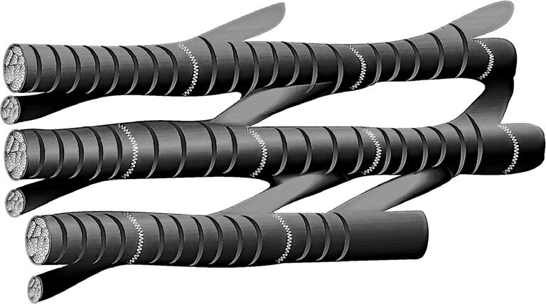 Анатомия для ищущих свой пупок - _28.jpg