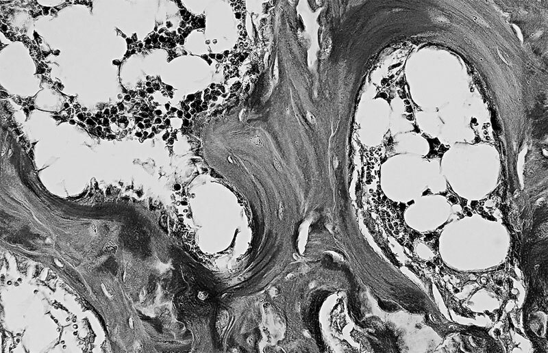 Анатомия для ищущих свой пупок - _45.jpg