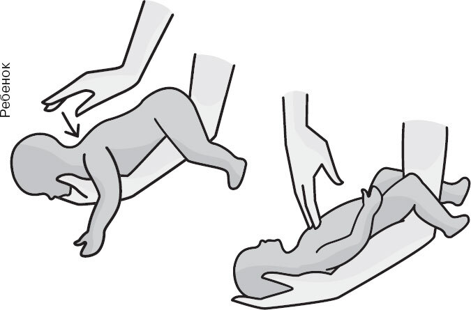 Анатомия для ищущих свой пупок - _86.jpg