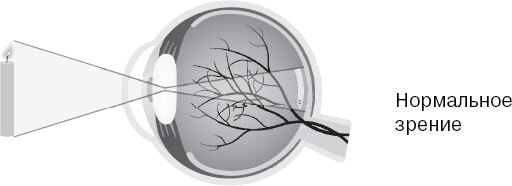 Анатомия для ищущих свой пупок - _135.jpg