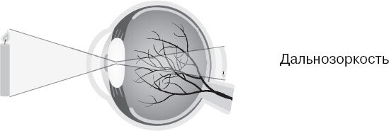 Анатомия для ищущих свой пупок - _136.jpg