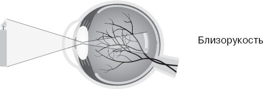 Анатомия для ищущих свой пупок - _137.jpg