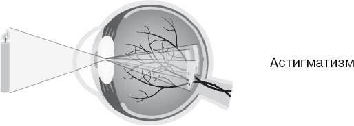 Анатомия для ищущих свой пупок - _138.jpg