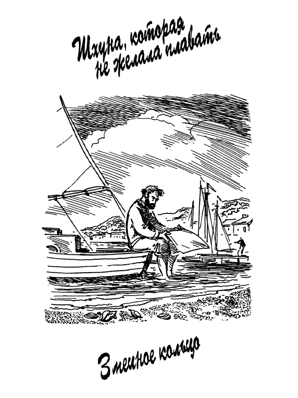 Шхуна, которая не желала плавать (СИ) - i_002.png