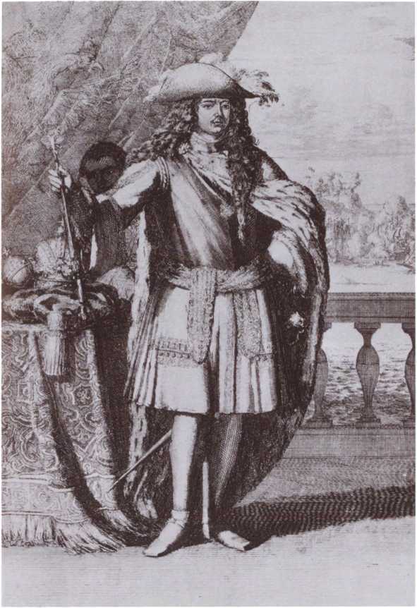 Следователи Петра Великого - i_001.jpg