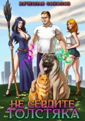 Читать книгу Не сердите толстяка - автор Соколов Вячеслав Иванович Не сердите толстяка - автор Соколов Вячеслав Иванович