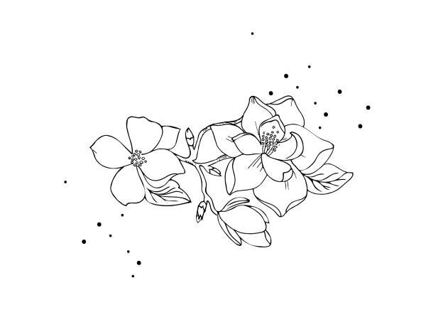 Хрупкое равновесие - i_001.jpg