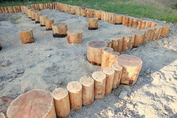 Лимб: Эволюция - img_22