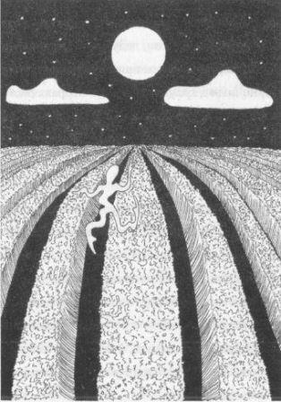 Тоси Дэнсэцу. Городские легенды современной Японии - Pic036.JPG