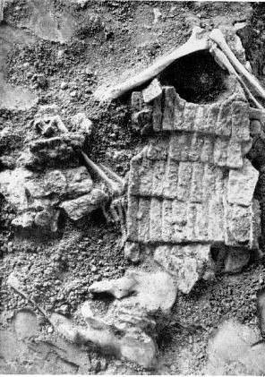 Средневековые битвы (СИ) - img_137