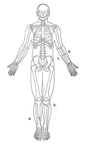 Средневековые битвы (СИ) - img_146