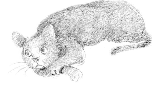 Кот Тихон возвращается домой - i_002.jpg