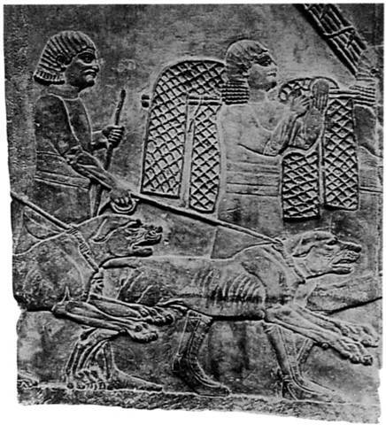 Античные битвы. Том II (СИ) - img_124