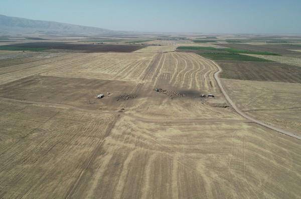 Античные битвы. Том II (СИ) - img_77