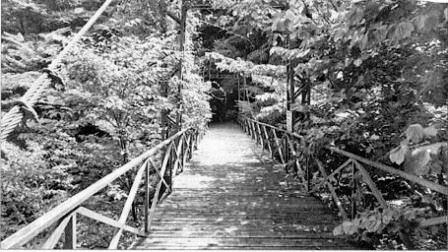 Японские призраки. Юрей и другие - pic320.JPG