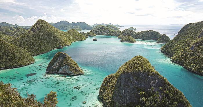 Огарок во тьме. Моя жизнь в науке - i_079.jpg