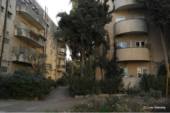 Иерусалим и его обитатели. Иерусалимские прогулки - image64_5797aaf69c81520700295064_jpg.jpeg