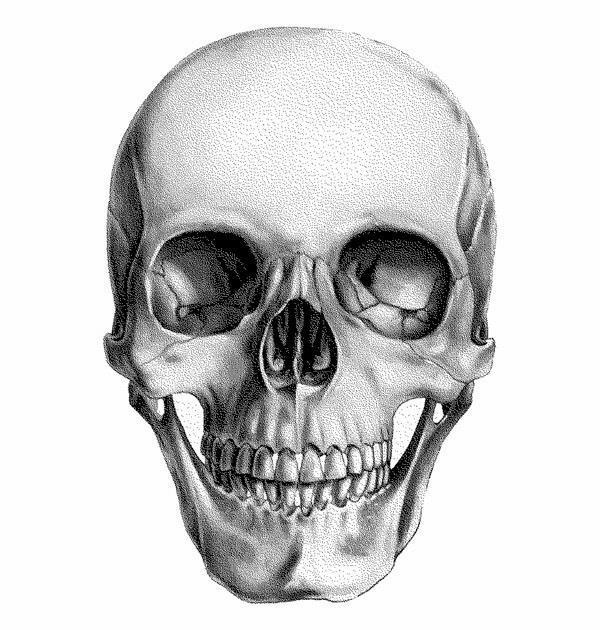 Легкие деньги (ЛП) - img_1