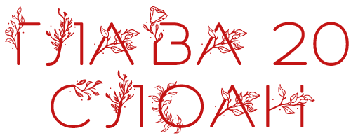 Соучастник (ЛП) - img_24