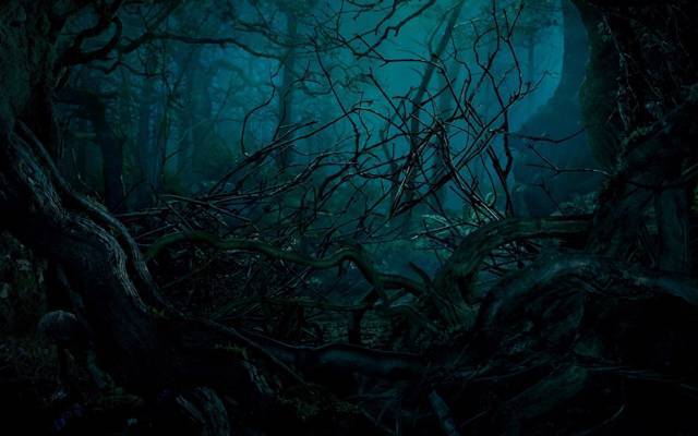 Чернокнижник (СИ) - img_3