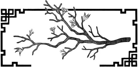 Злодейский путь!.. Том 1 и 2 - i_005.jpg