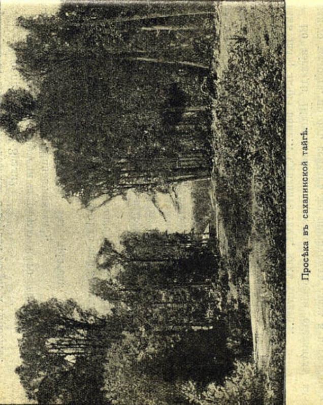 Сахалин - img_52