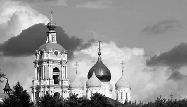 Братья по крови. Книга первая (СИ) - img_8