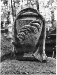 Александро-Невская лавра. Архитектурный ансамбль и памятники Некрополей - img_118