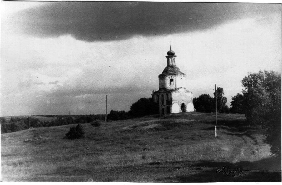 Темный янтарь 2 (СИ) - img_26