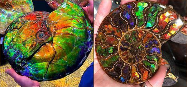 Волшебство не вызывает привыкания 5 (СИ) - _1.jpg_0