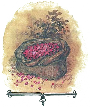 Сказки Сан-Марино - i_027.png