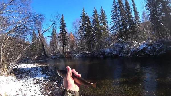 «Меченые» (СИ) - i_005.jpg