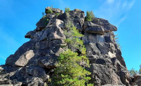 «Меченые» (СИ) - i_010.jpg