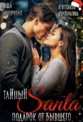 Тайный Санта. Подарок от бывшего (СИ) - автор Черничная Даша 