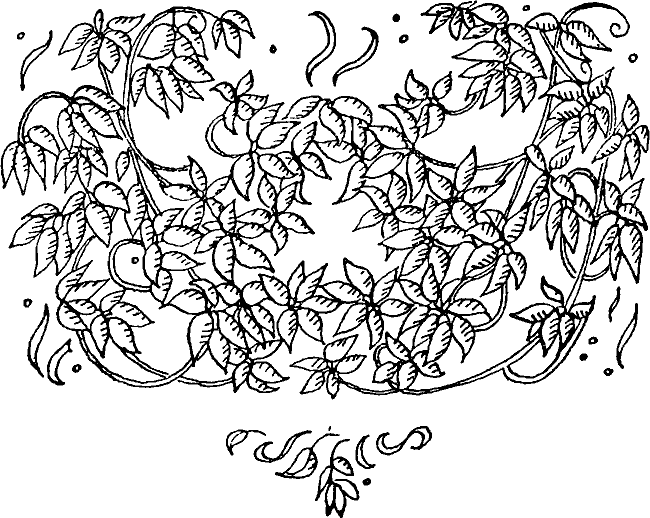 Английские народные сказки - pict_035.png