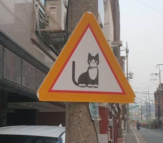 Наследник семьи Пак 4 (СИ) - img_9