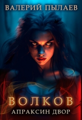  Пылаев Валерий - Волков. Апраксин двор