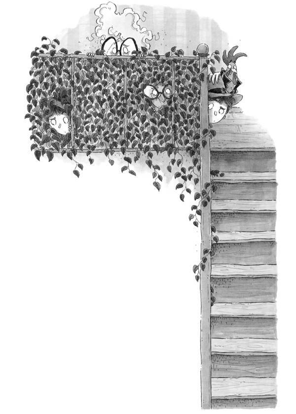 Король мошенников - img_21