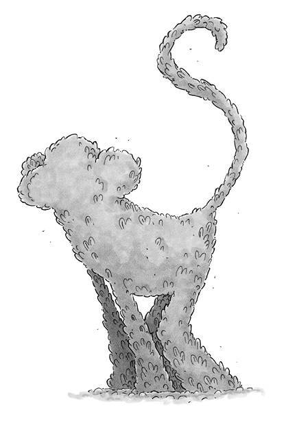 Король мошенников - img_9