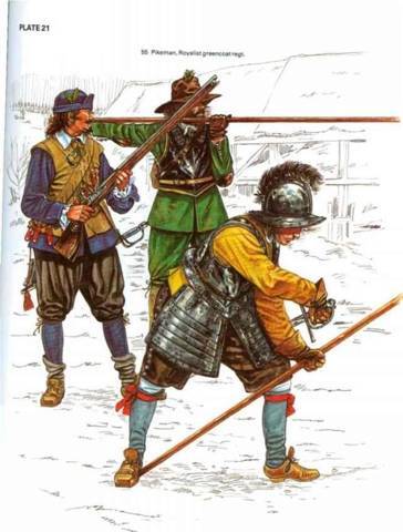 Корела (СИ) - img_24