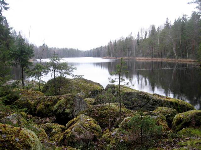 Корела (СИ) - img_26