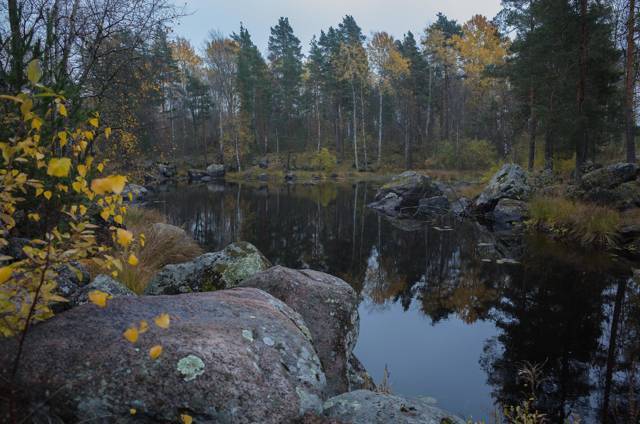 Корела (СИ) - img_27
