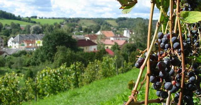 Корела (СИ) - img_59