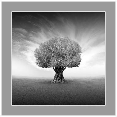 Горчичное зерно. Комментарии к пятому Евангелию от св. Фомы - i_001.jpg