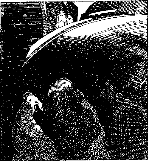 Китеж (сборник) - i_076.png