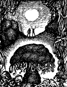 Колиска на орбіті - doc2fb_image_03000009.png