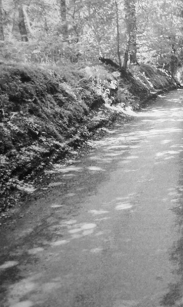 Ракушка на шляпе, или Путешествие по святым местам Атлантиды - i_003.jpg