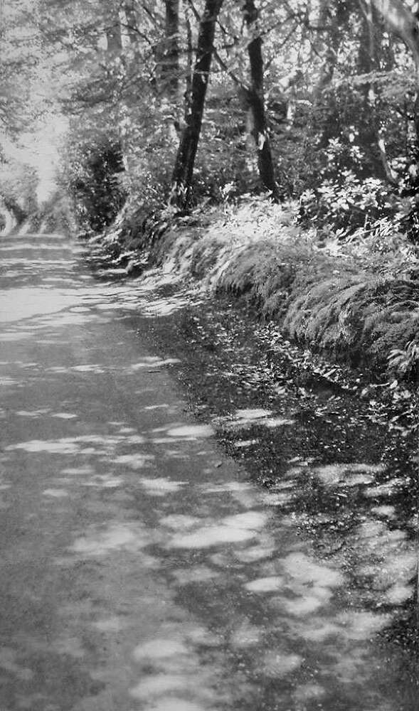 Ракушка на шляпе, или Путешествие по святым местам Атлантиды - i_004.jpg